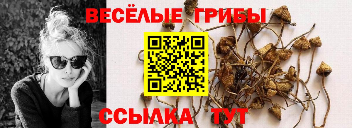 Канаш  Псилоцибиновые грибы Magic Shrooms  Вход с VPN 